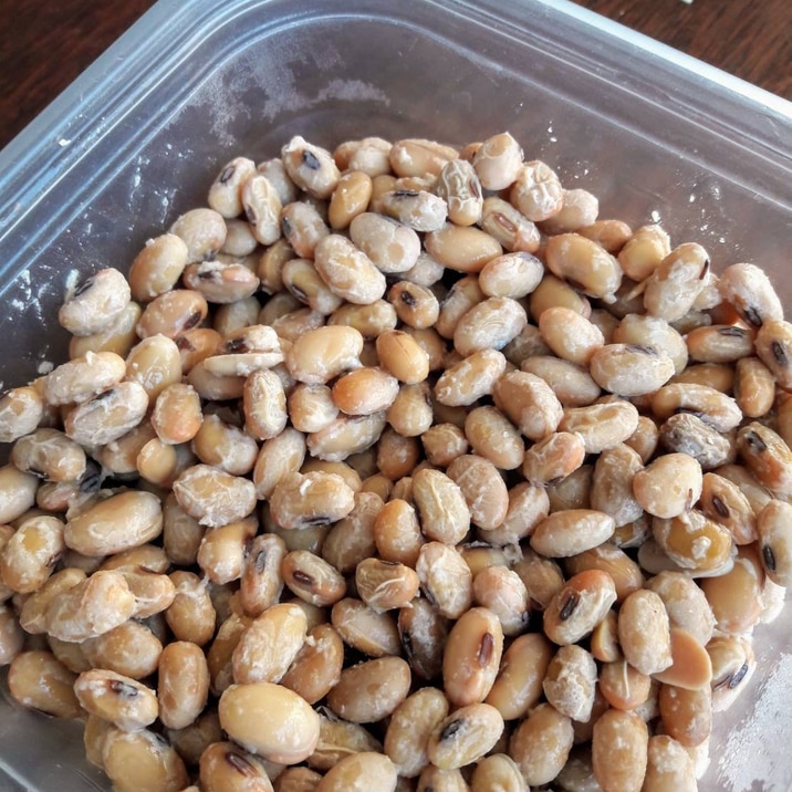 オランダで自家製納豆 レシピ 作り方 By Yacos 楽天レシピ オランダで自家製納豆 レシピ 作り方 By Yacos 楽天レシピ